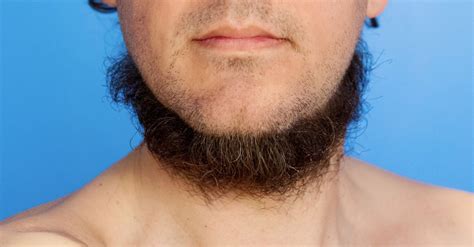 How To Properly Groom Your Neckbeard For The Springtime | HuffPost