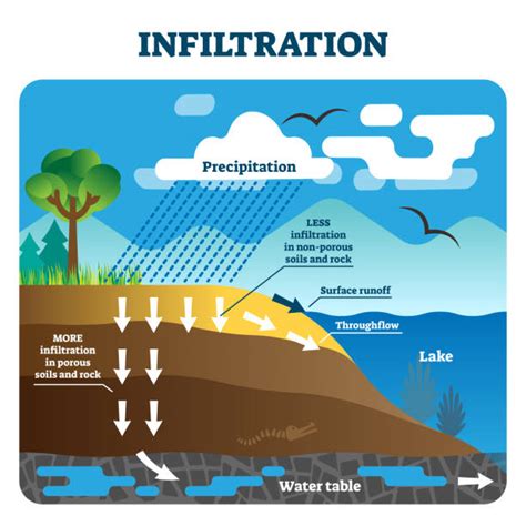 1,100+ Absorb Water Stock Illustrations, Royalty-Free Vector Graphics & Clip Art - iStock