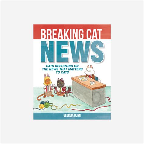 Breaking Cat News - AMP Kids