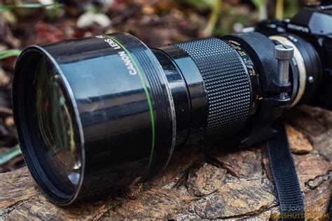 Birding with the Canon FD 300mm 2.8 Fluorite - PrimalshutterPrimalshutter