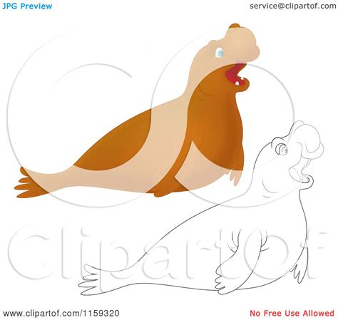 Cartoon of a Cute Outlined and Brown Elephant Seal - Royalty Free ...