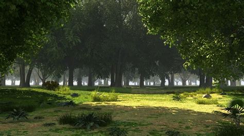 3D model Forest background VR / AR / low-poly | CGTrader