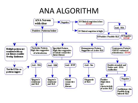 PPT - DIAGNOSIS of AUTOIMMUNE DISEASES PowerPoint Presentation, free download - ID:6504808