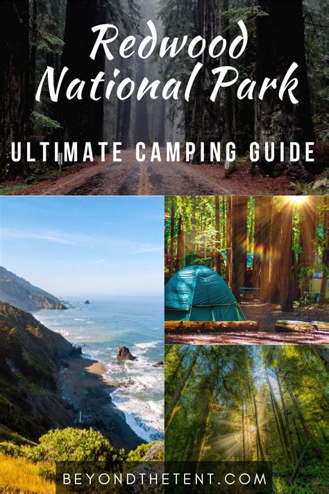 The Ultimate Guide to Camping in Redwood National Park | National parks ...