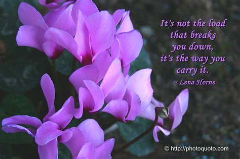 Lena Horne Quotes. QuotesGram