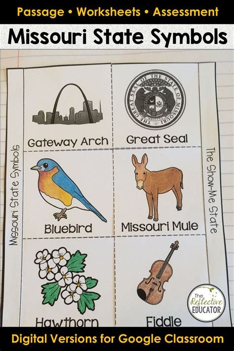 Missouri State Symbols | Missouri Social Studies | Social studies ...