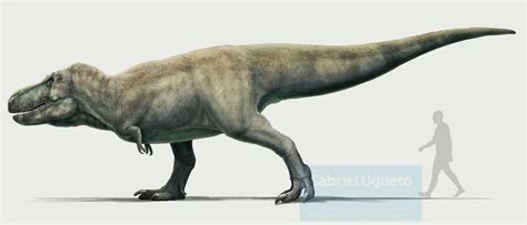 Tarbosaurus | Fossil Wiki | Fandom