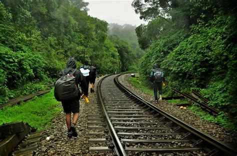 A Guide to Exploring Dudhsagar Falls