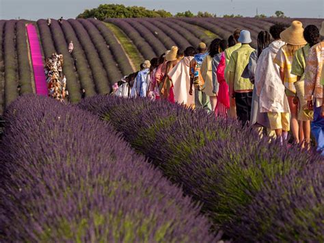 Lavender Fields France Wallpapers - Wallpaper Cave