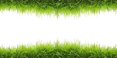 Lawn PNG Image | PNG Mart