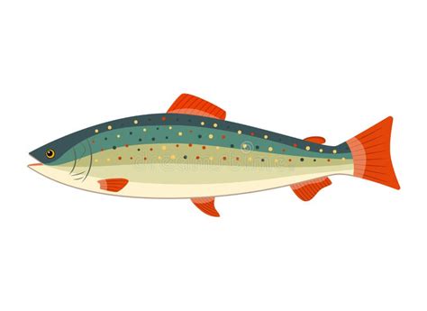 Rainbow Trout Stock Illustrations – 1,282 Rainbow Trout Stock ...