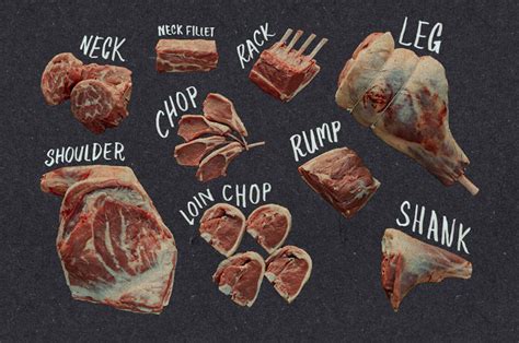 Lamb Meat Cuts Chart