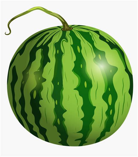 Watermelon Png Clip Art, Transparent Png - kindpng