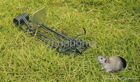 Gopher Trap - CH618 (China Manufacturer) - Horticulture & Gardening Products - Home Supplies ...