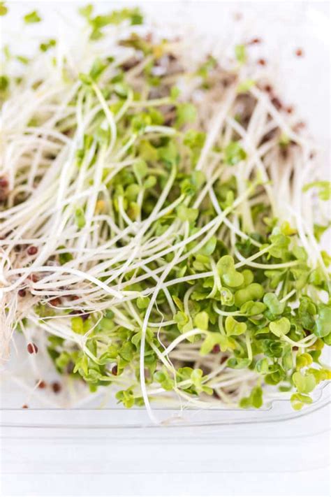 10+ Delicious Ways to Eat Broccoli Sprouts - Clean Eating Kitchen