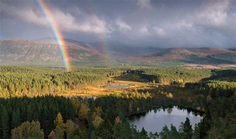 Cairngorms Forests: A rich heritage of native timber production ...