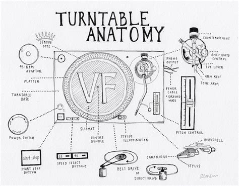 Turntable Anatomy: An interactive guide to the key parts of a record player - The Vinyl Factory