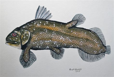 Coelacanth Living Fossil original Painting, Fish Art, Fish Watercolor, Prehistoric Fish, Fish ...