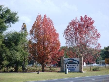 Earth Shattering Gardening: Florida Fall Foliage