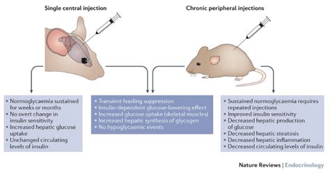 Writing a scientific paper? Check our graphical abstract templates