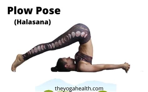 Plow Pose (Halasana): Benefits, Steps & Variations - TheYogaHealth