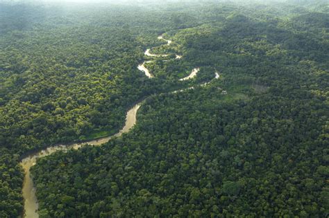 Yasuni National Park | Mandari Panga Yasuni Jungle Expeditions