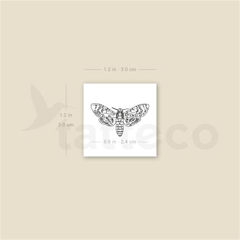 Small Moth Temporary Tattoo - Set of 3 – Tatteco