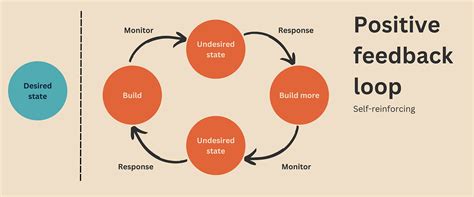 Positive Feedback Loop Examples