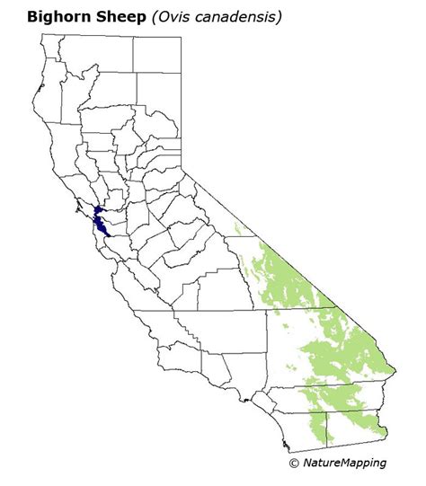 California Distribution Map - Bighorn Sheep (Ovis canadensis)