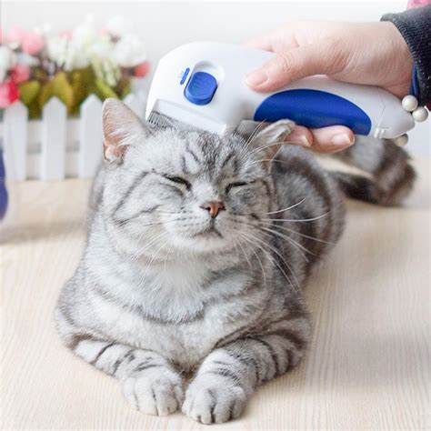 [SALE] Electric Flea Comb For Cats – AmazinglyCat