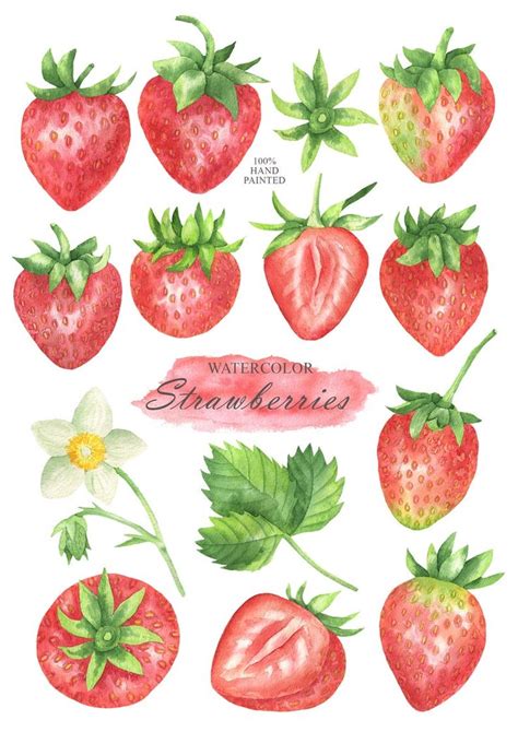 Strawberry Watercolor Clipart, Berry Clip Art, Summer Strawberry ...