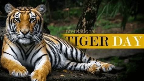 International Tiger Day 2023: Safeguard the Majesty of Tigers