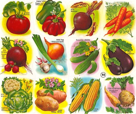 Vegetable Stickers | Explore Huge Cool's photos on Flickr. H… | Flickr ...