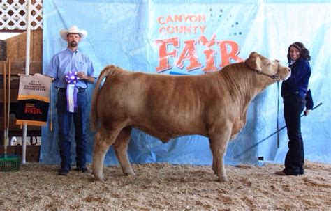 Canyon County Fair | Idaho – Matt Lautner Cattle – The Leader in Providing Club Calf Genetics ...