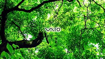 HD vaio-tree wallpapers | Peakpx