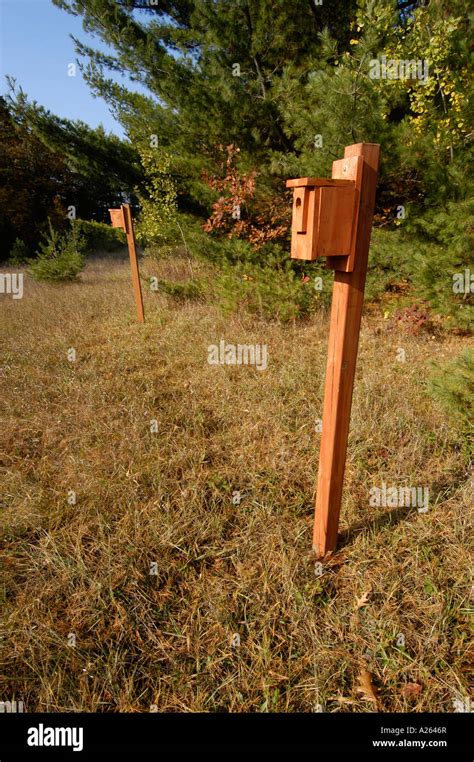 Bird House Placement To Attract Birds Is Sponsored By The Department Stock Photo, Royalty Free ...