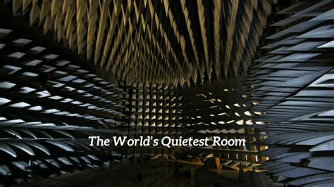 The Quietest Room In The World - CMUSE