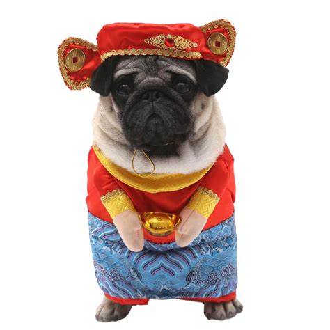 Pet Dog Clothes Chinese New Year Dog Costume For Dogs Suit Chinese God ...