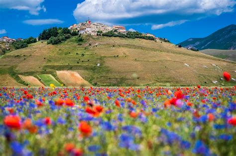 Spotlight on Norcia: Travel guide to Norcia - Blog by Bookings For You