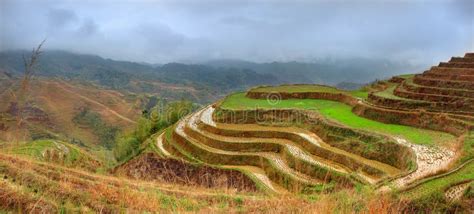 Rice Terraces, Dazhai, Near Longsheng, Guangxi, China. Yao Village Dazhai, Longsheng, Guanxi ...