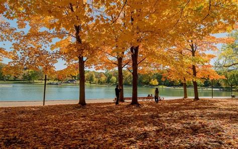 Tham khảo kinh nghiệm du lịch Canada mùa thu ngập sắc vàng lá phong