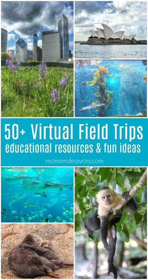 50+ Virtual Field Trips - Educational Resources & Ideas - Mom Endeavors