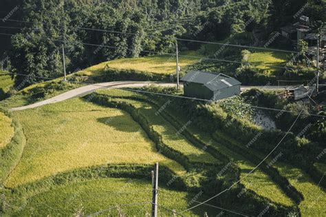 Premium Photo | Paddy field in sa pa vietnam