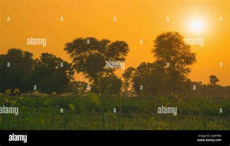 Punjab field view hi-res stock photography and images - Alamy