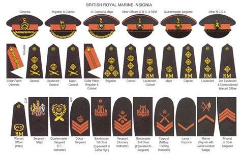 WW2 Royal Marine Ranks Royal Marines Ranks, Navy Officer Ranks, British ...