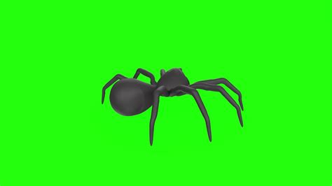 spider on a green background 20153927 Stock Video at Vecteezy