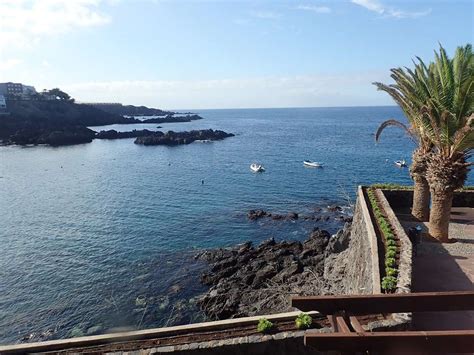 Diving in Alcalá | Diving Excursions Tenerife South 2024