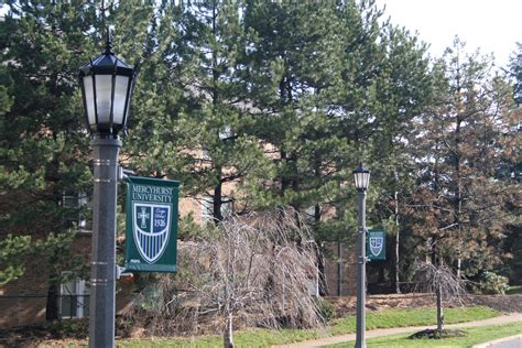 Plenty of trees on the Mercyhurst University campus. | Mercyhurst university, University campus ...