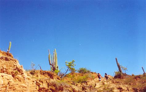 Desert Walkers Free Stock Photo - Public Domain Pictures