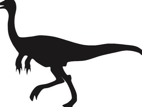 Raptor Silhouette at GetDrawings | Free download